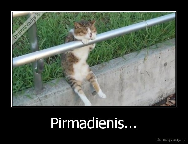 nekenciu, pirmadieniu