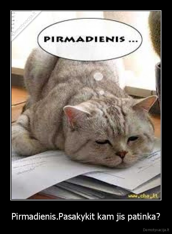 Pirmadienis.Pasakykit kam jis patinka?