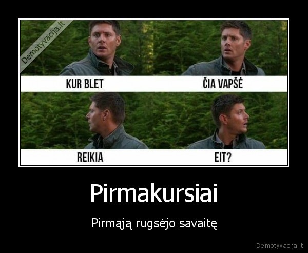 studentai,studijos