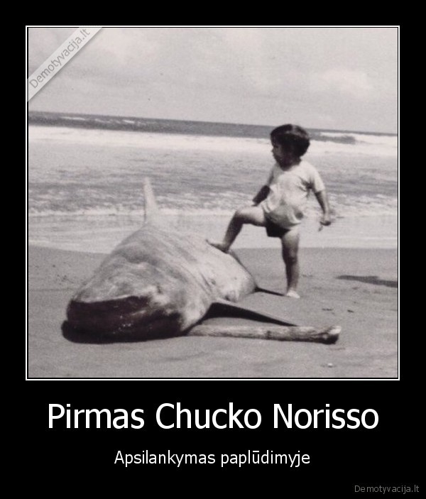 chuck, norris,vaikas,ryklys