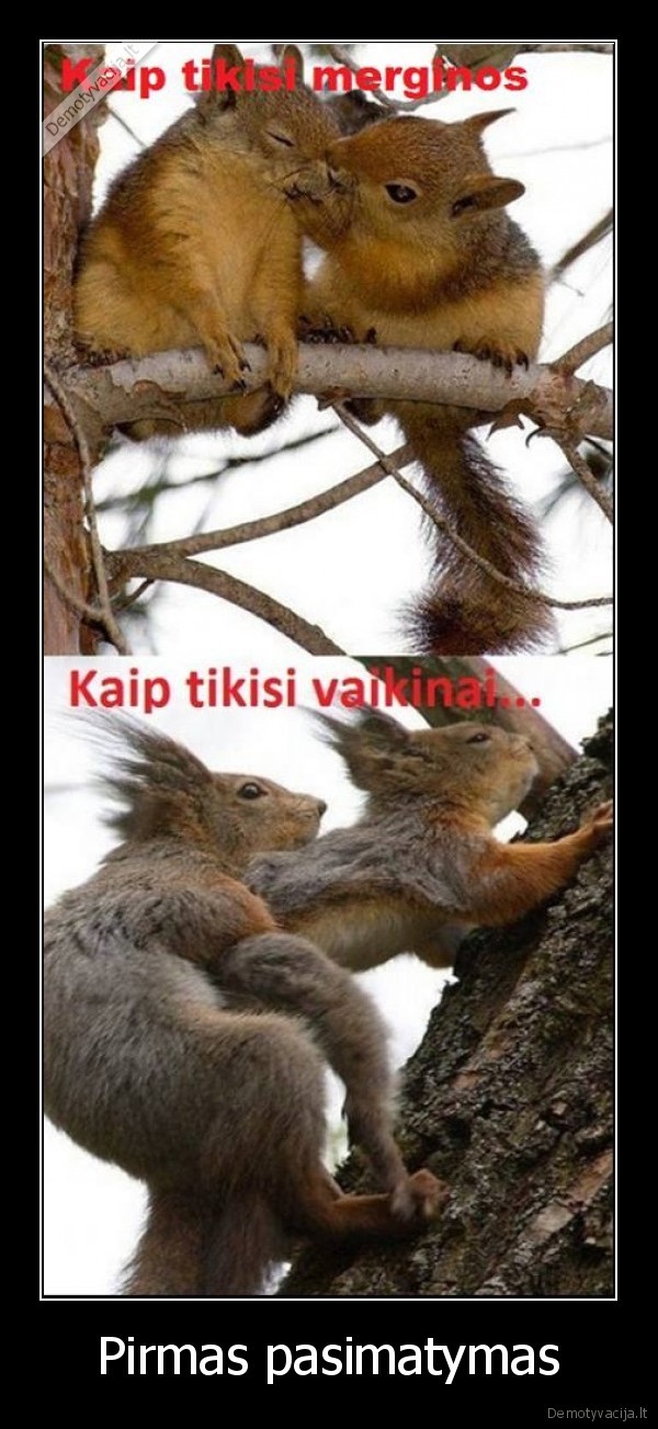Pirmas pasimatymas