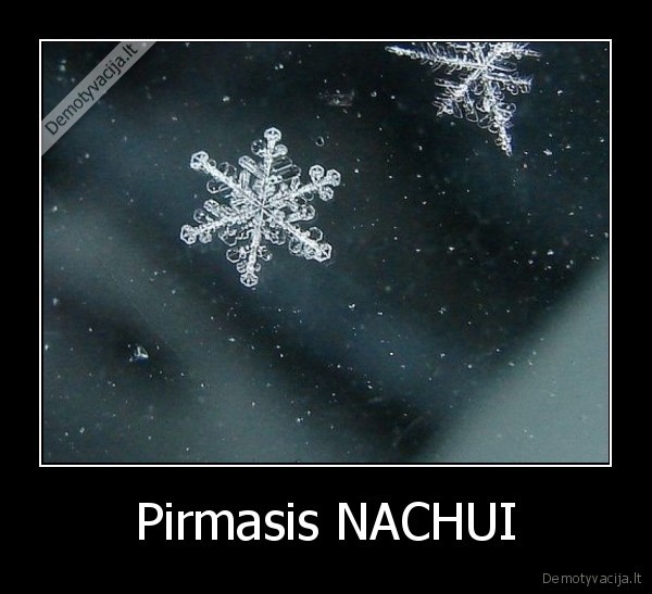pirmas, sniegas