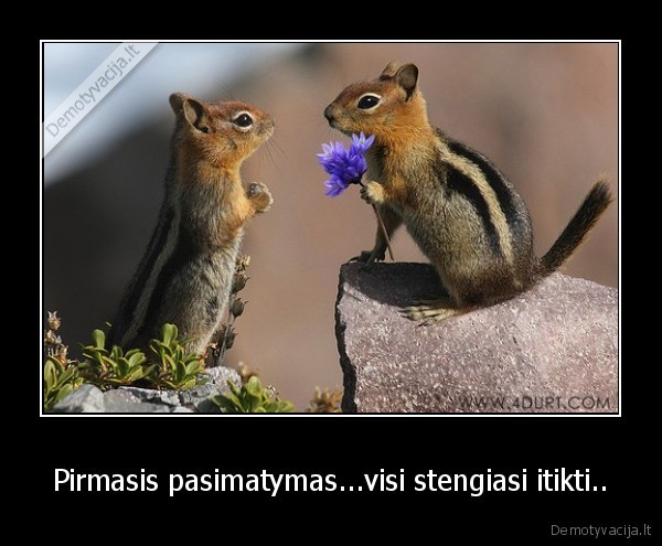 Pirmasis pasimatymas...visi stengiasi itikti..
