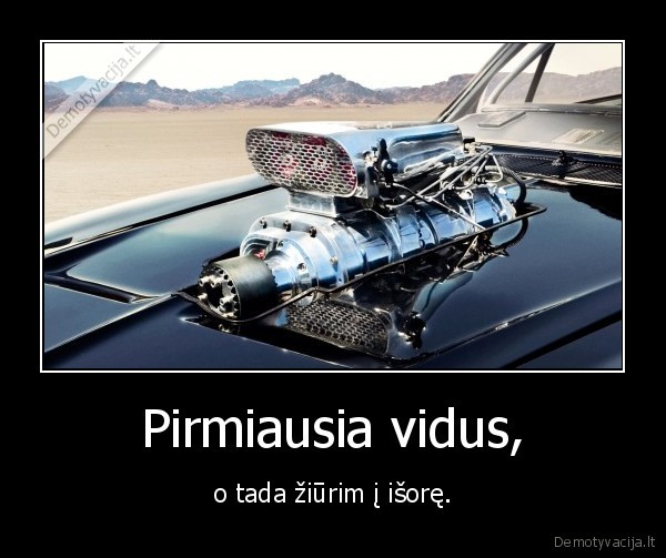 Pirmiausia vidus,