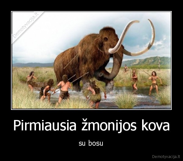 bosas,mobas,zaidimai