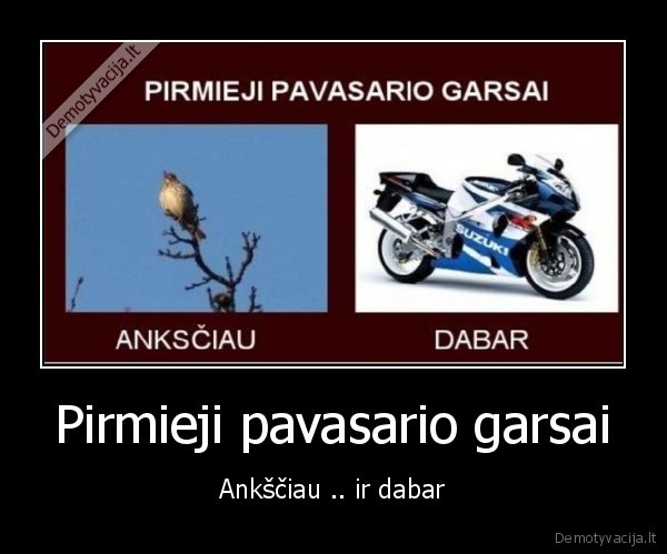 britvos, pauksciai, pavasaris