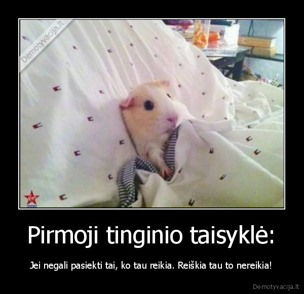 Pirmoji tinginio taisyklė: