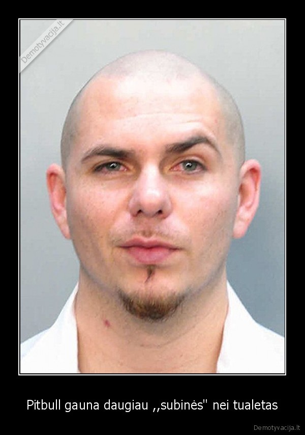 Pitbull gauna daugiau ,,subinės&quot; nei tualetas