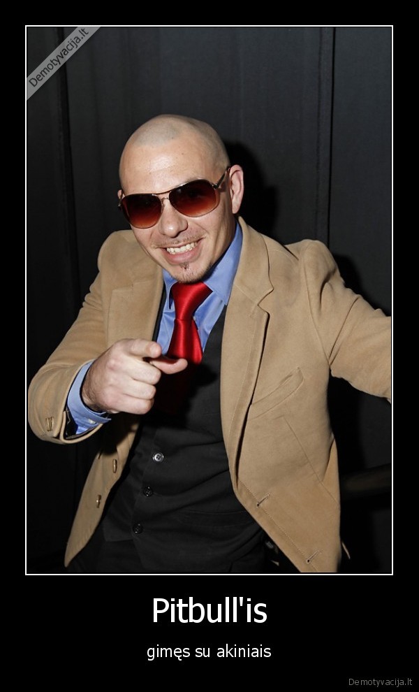 Pitbull'is