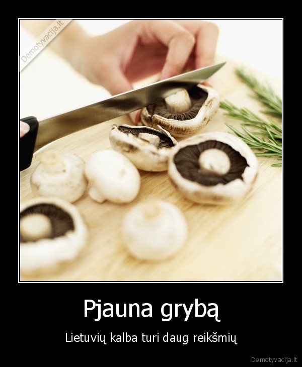 grybai,lietuviu, kalba