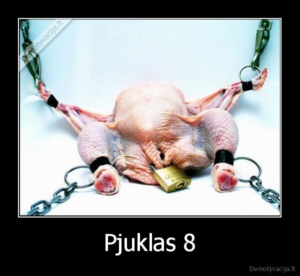 Pjuklas 8