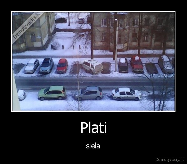 siela