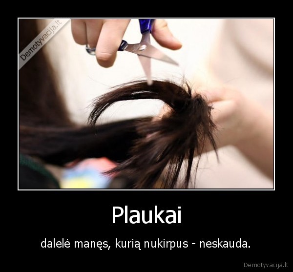 Plaukai
