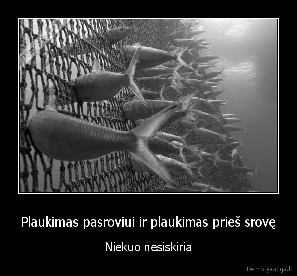 Plaukimas pasroviui ir plaukimas prieš srovę