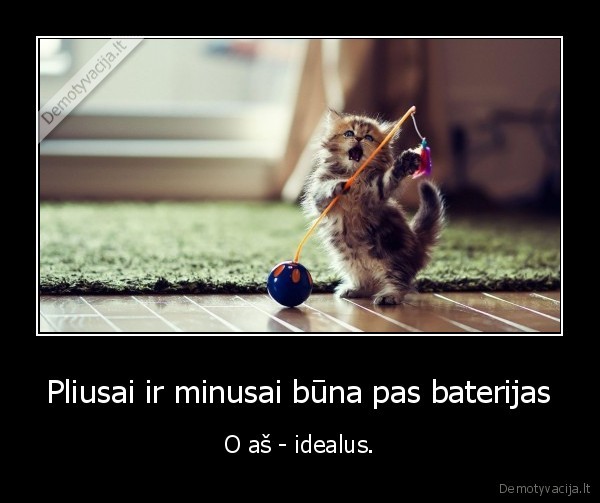pliusai,minusai,batareikos