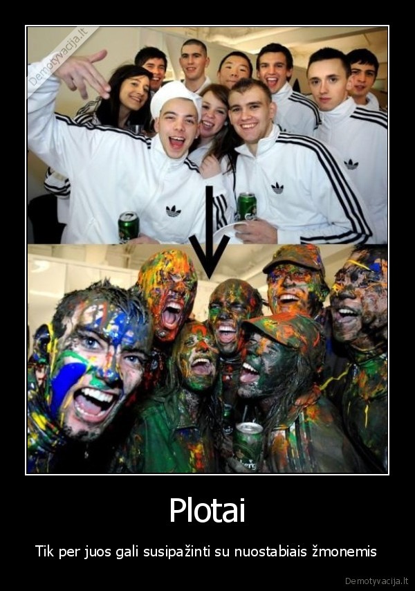 Plotai