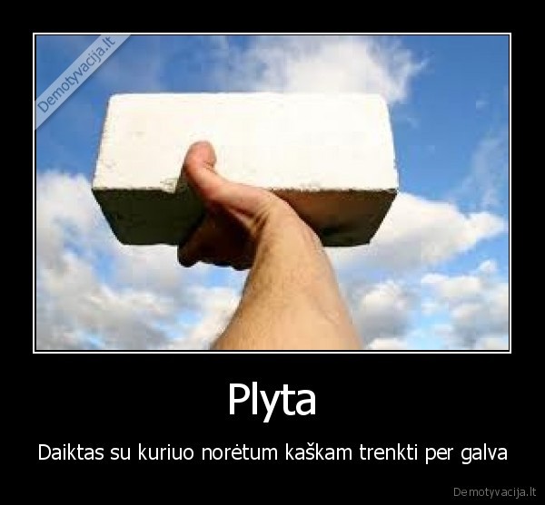 plyta