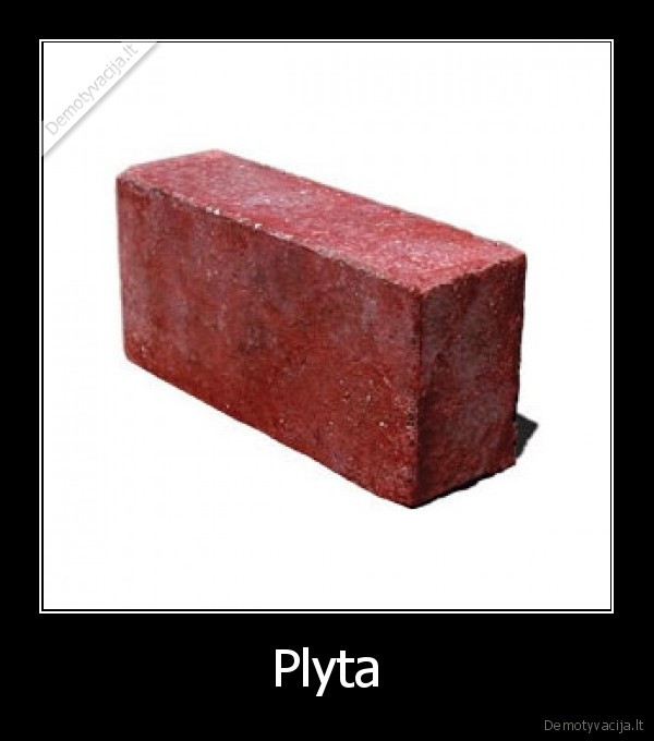Plyta