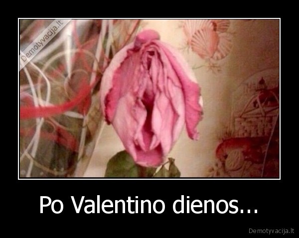 roze,uzvijo