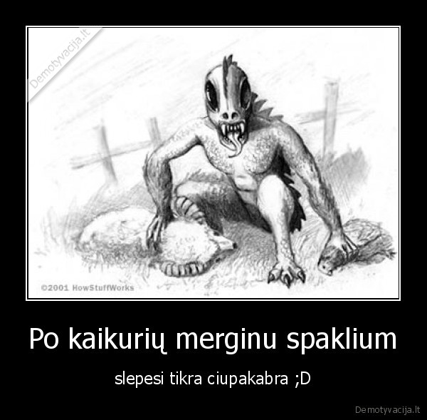 cip, cip, cipokabra, d