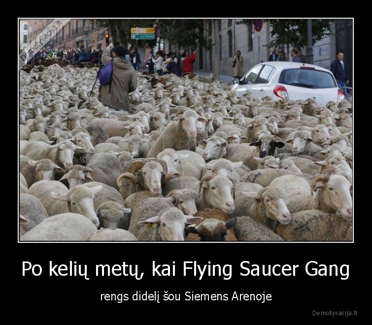 flying, saucer, gang,meschino,scena,aktualijos