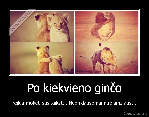 Po kiekvieno ginčo