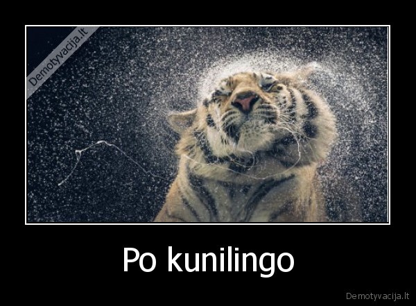 Po kunilingo