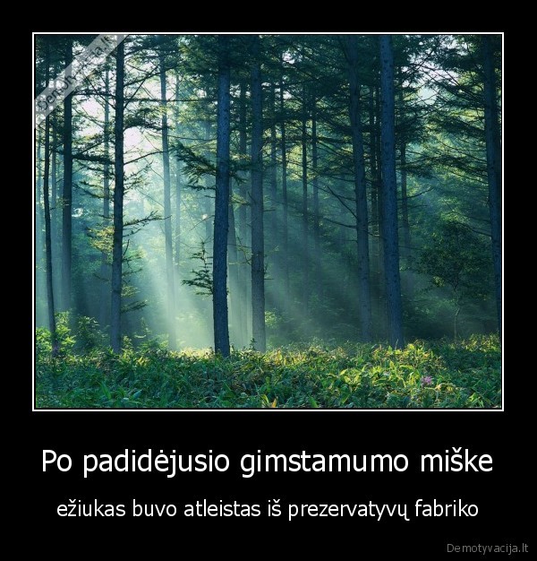 Po padidėjusio gimstamumo miške