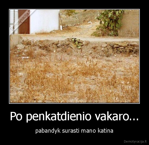 Po penkatdienio vakaro...