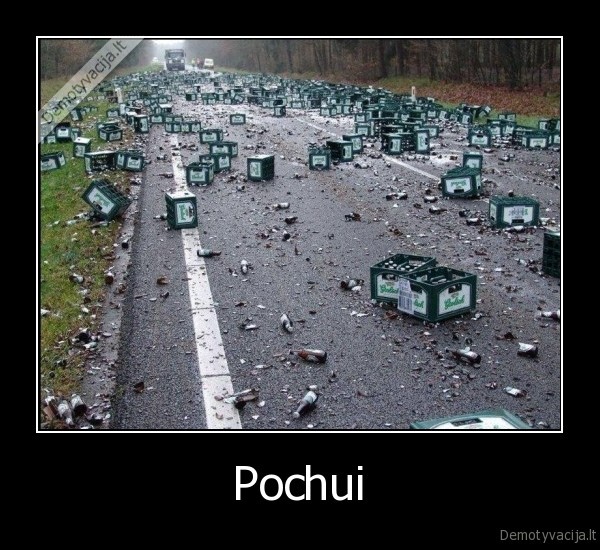 Pochui