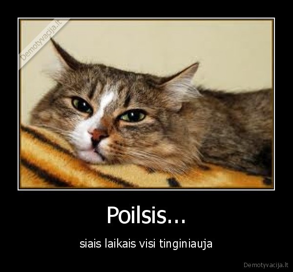 kates,poilsis,tinginyste