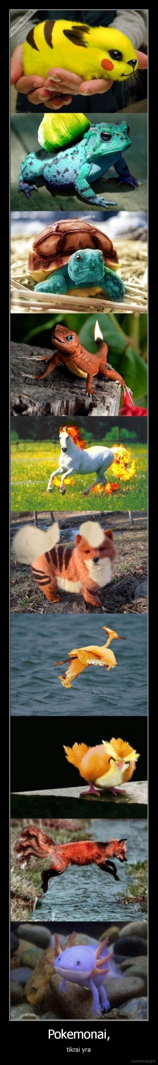pokemonai