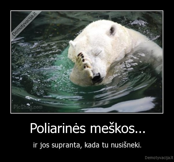 gyvunai, poliarines, meska