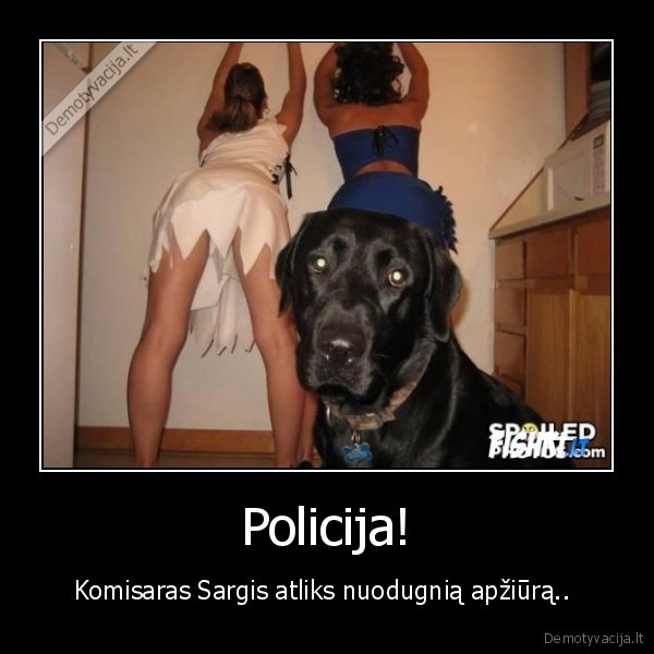 suo,policija