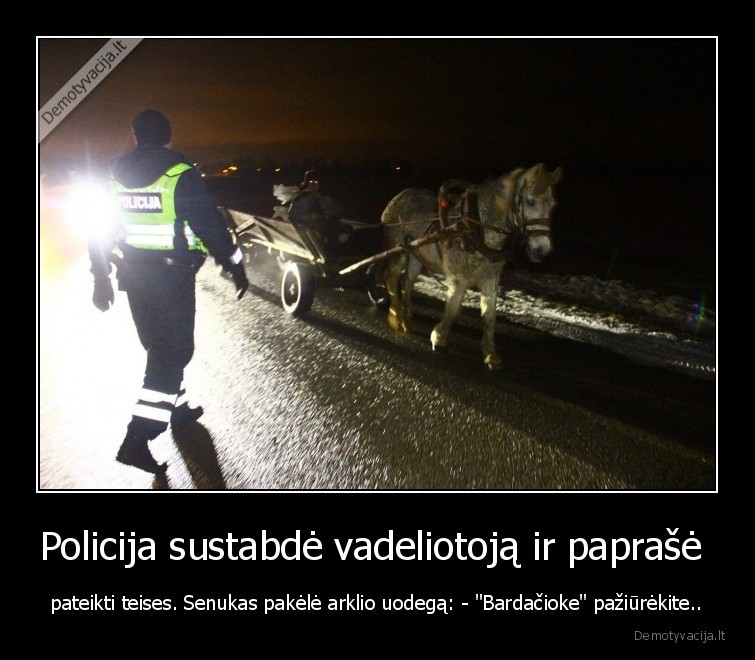 bardaciokas,teises,vadeliotojas,policija,senukas,arklys