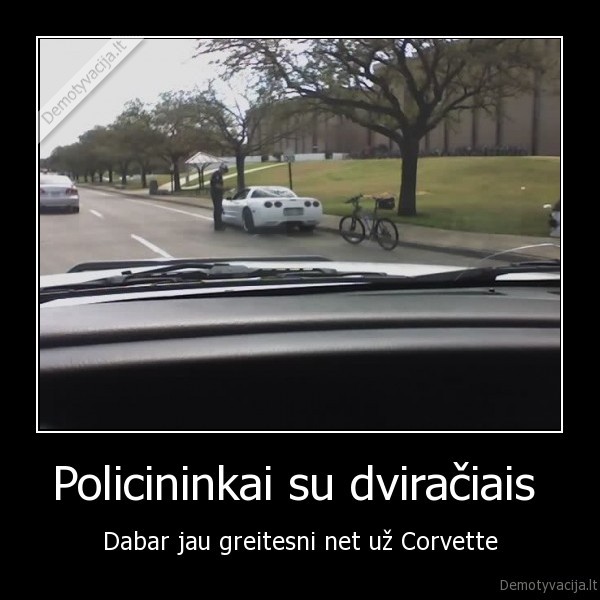 corvette