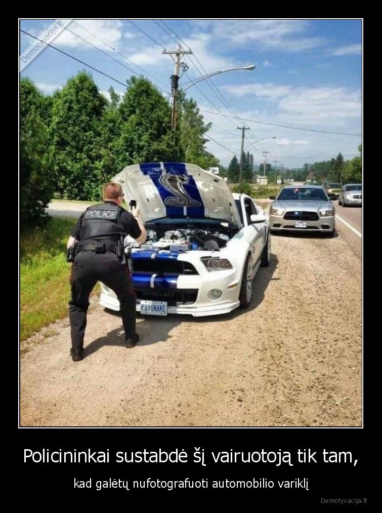 automobilis,variklis,vairuotojas,policija,sustabde