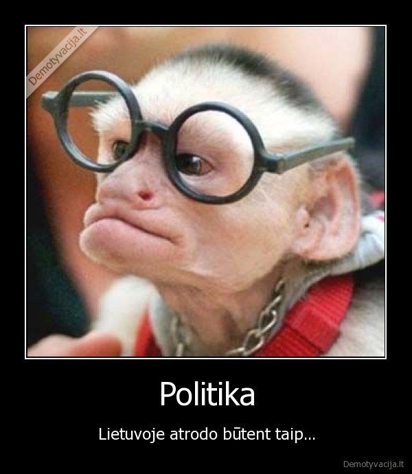 politika,lietuva