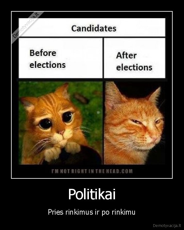 politika,puss, in, boots,troll