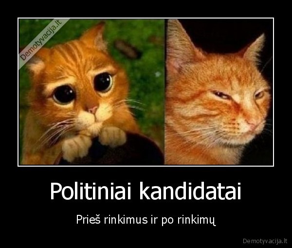 Politiniai kandidatai
