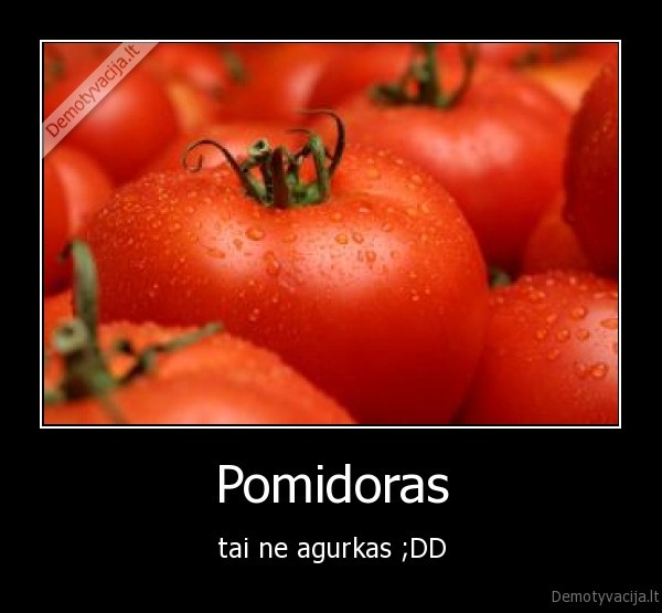 Pomidoras