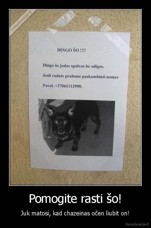 tobulos, zinios