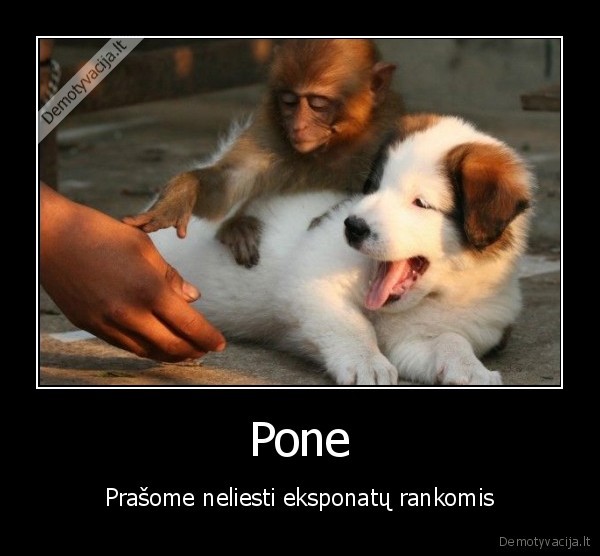 Pone