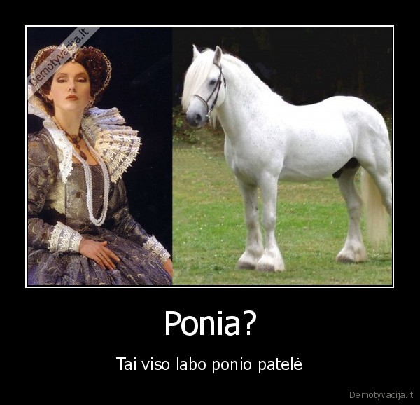 ponia,ten, zoles, yra
