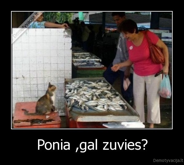 Ponia ,gal zuvies?