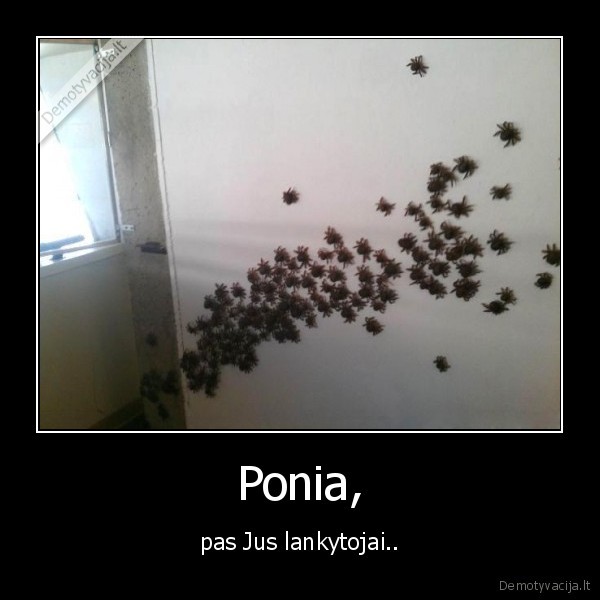 Ponia,