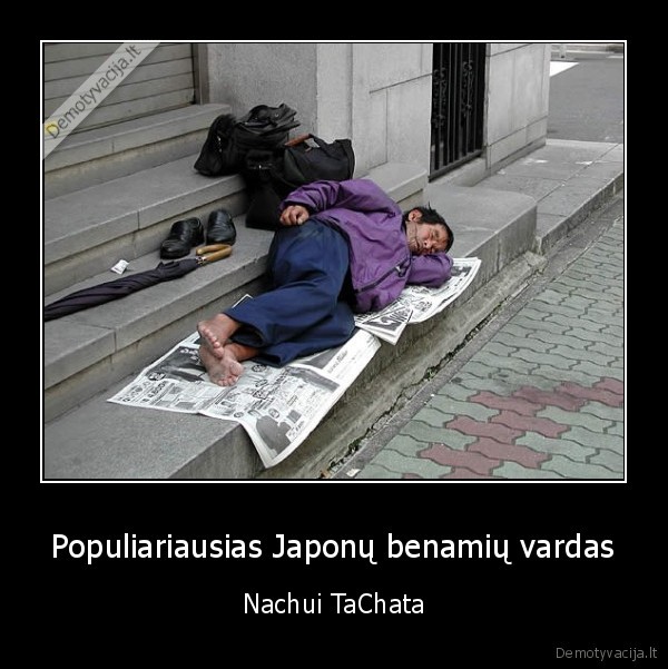 pochui, ir, cunamis