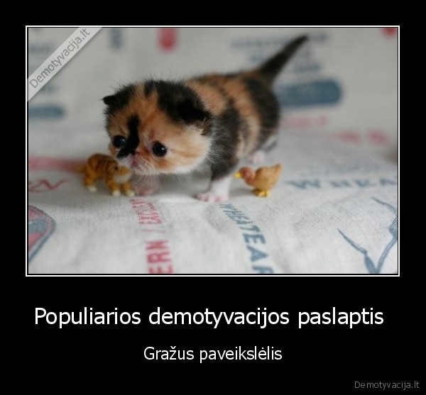 Populiarios demotyvacijos paslaptis 