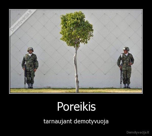 poreikis, myzti,poreikis,kariuomene,tarnauti