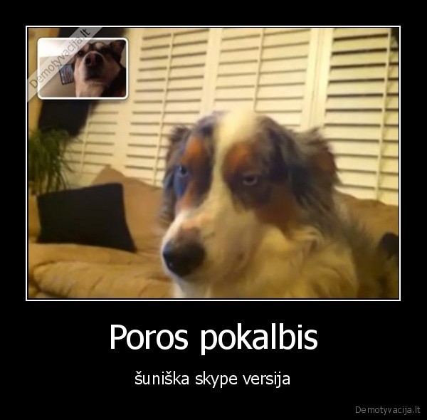 Poros pokalbis